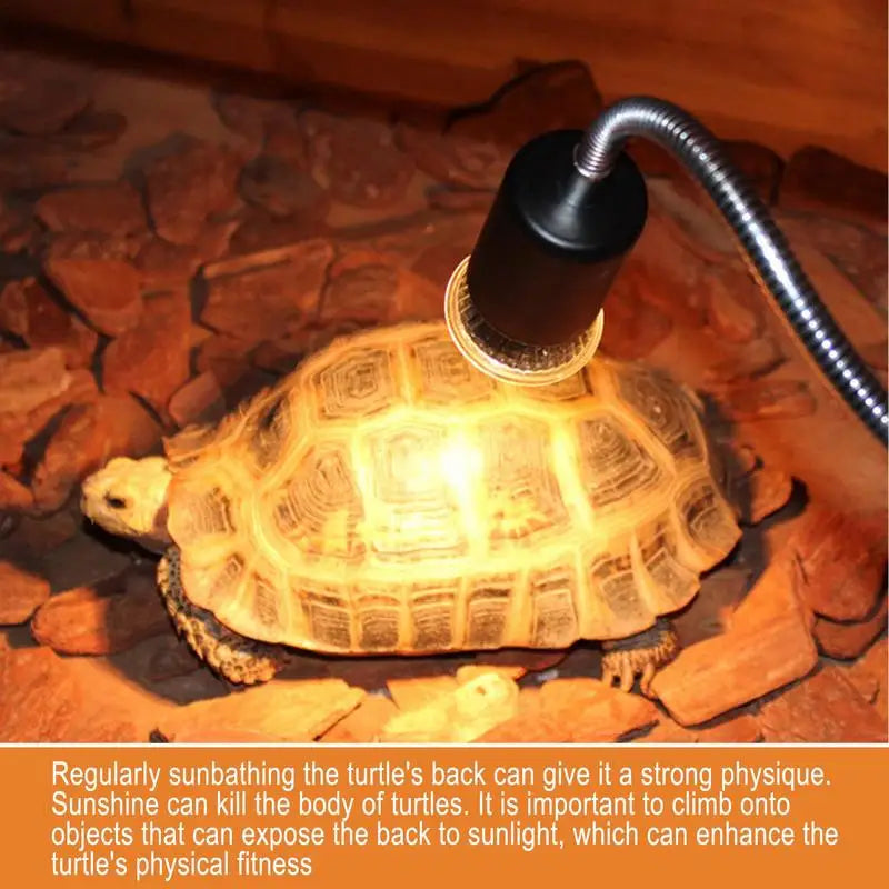 Reptile Heating Bulb 220V Habitat Light Lamp Basking Heat Lamp For Reptiles Turtle Heat Lamp Bulb For Bearded Dragon Reptile