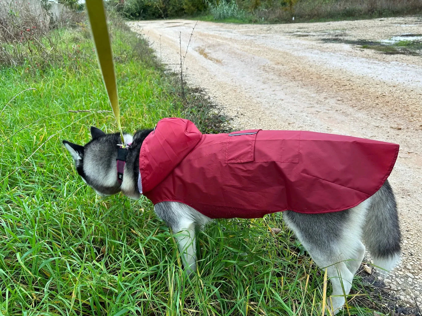 Big dog raincoat reflective waterproof windproof hooded raincoat large dog clothing outdoor raincoat  dog clothing jacket