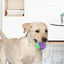 Dogs Interactive Toys Interactive Dog Ball Squeaky Balls Toys Pet Grinding Teeth Toy for Dog Pet Teeth Cleaning Pet Supplies