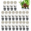 20/10pcs/set Aquatic Plants Fixed Ring Set Anti-Floating Water Plant Anchor Weights Pot Aquarium Decoration Fish Tank Landscape