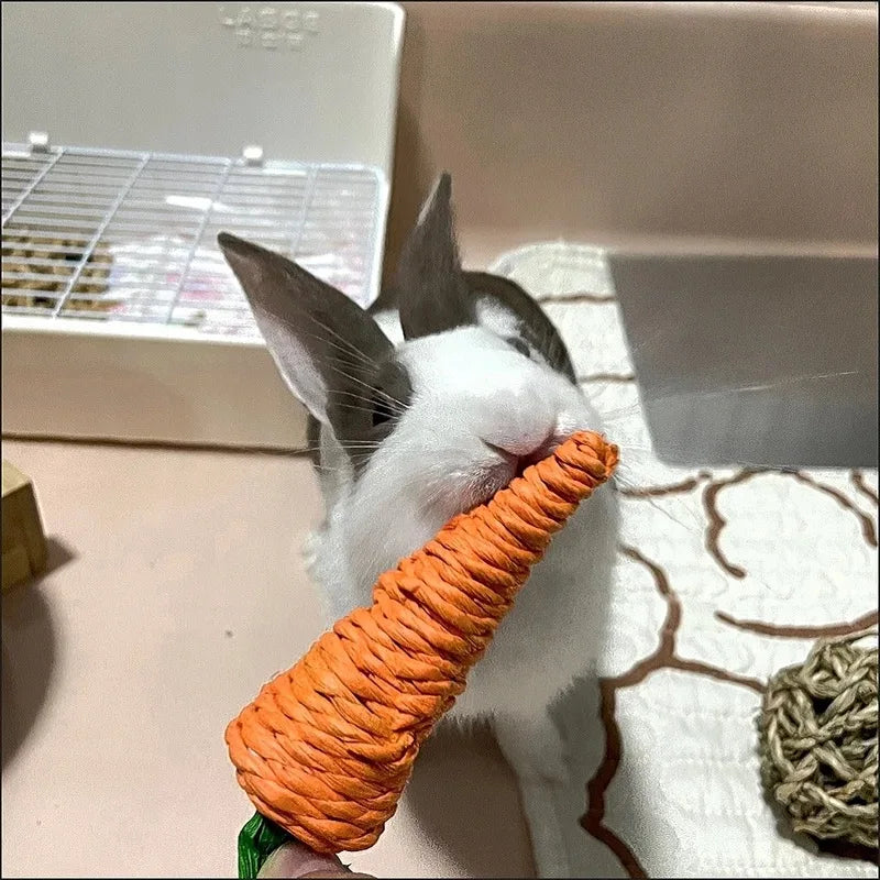 Natural Paper Rope Rabbit Puzzle Toy Grass Weaving Radish Carrot Shape Pet Accessories Guinea Pig Chinchillas Small Animals Toys