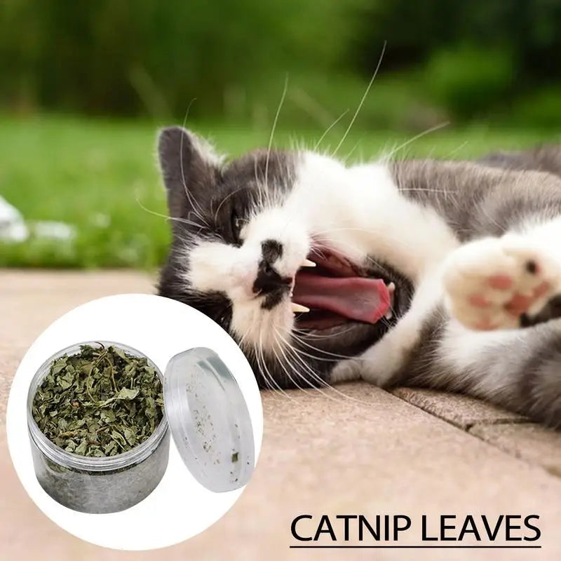 Catnip Organic 100 Natural Premium Cattle Grass Non-toxic Interactive Funny Cat Toy Healthy Safe Catnip Pet Toys Nepeta Cataria