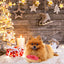 Dog Christmas Toy Plus Toy Cute Santa Elk Gingerbread Man Donut Chew Toy Dog Toy