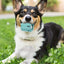 Dog Tennis Tumble Interactive Toy Pet Training Ball Rubber Heavy Duty Tennis Ball Cup Toy Puppy Chewing Dispensing self Play Toy