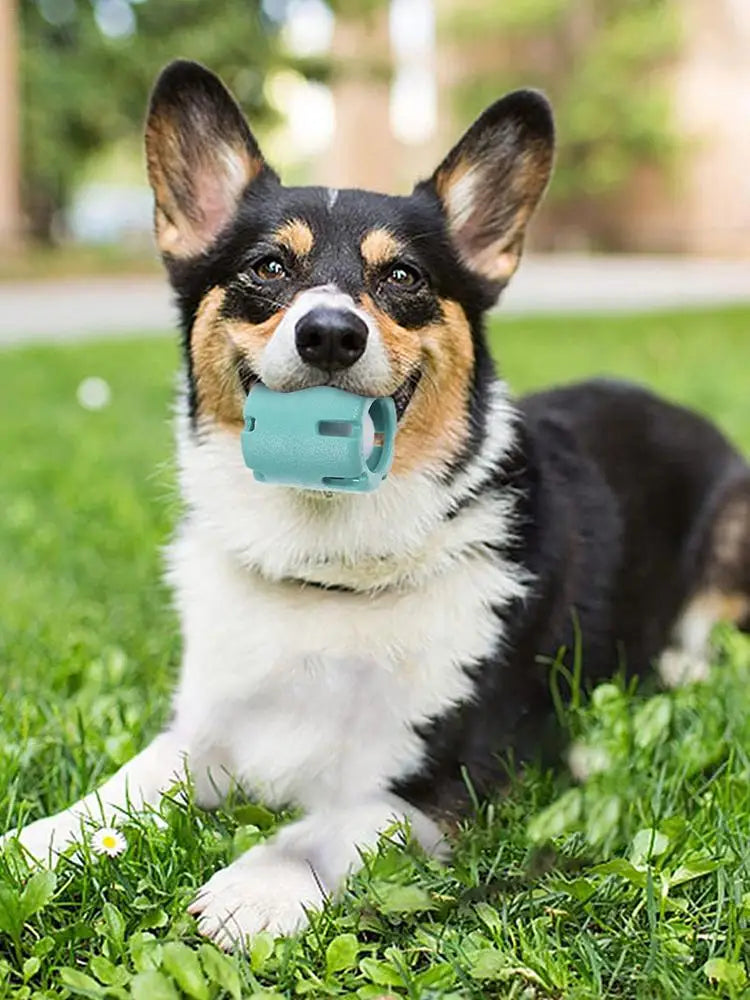 Dog Tennis Tumble Interactive Toy Pet Training Ball Rubber Heavy Duty Tennis Ball Cup Toy Puppy Chewing Dispensing self Play Toy