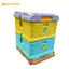Benefitbee beehive factory 10 frames multifunction Langstroth 2 layers plastic bee hive