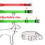 LED Dog Collar USB Rechargeable - Bright & High Visibility Lighted Glow Collar for Small Medium Large Breeds Pet Night Walking