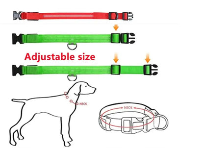 LED Dog Collar USB Rechargeable - Bright & High Visibility Lighted Glow Collar for Small Medium Large Breeds Pet Night Walking
