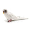 Simulated bird parrot children's ornament toy
