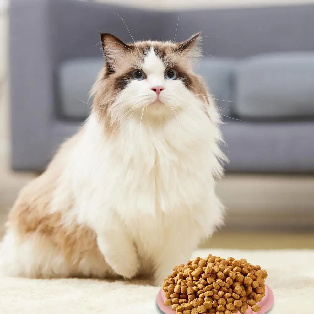 Cat Slow Feeder Non-Slip Slow Feeder Bowl Dog Bowls Food-Grade Silicone Bowls Dishes Pet Puppy Food  Feeding Dog Food Dispenser