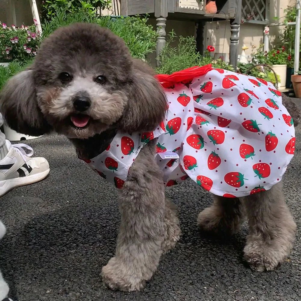 Dog Princess Dress Cute Print Puppy Dresses with Bowknot Sweet Cat Skirt Summer Thin Pet Wedding Party Chihuahua Doggies Clothes