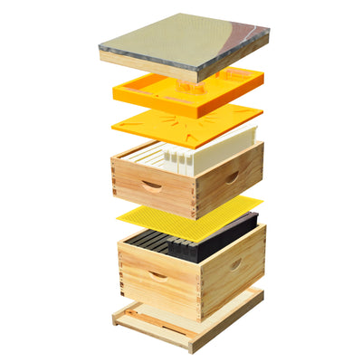 Beekeeping equipment wood Bee hive 10 frames Langstroth Beehive Box Kit