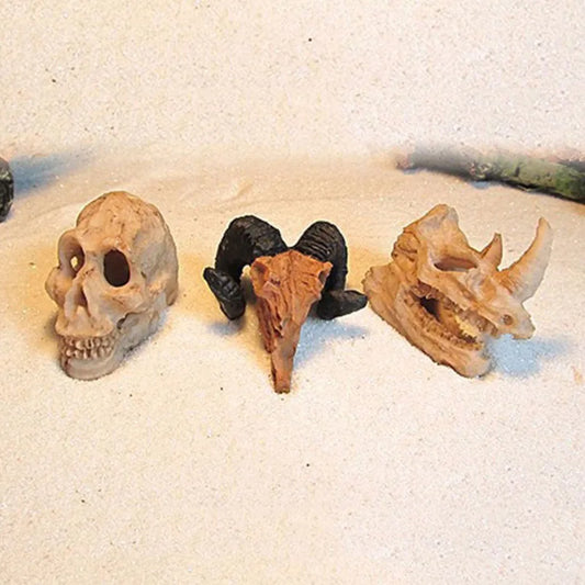 Aquarium Ornaments Decoration Resin Rhinoceros Horned Skull Goat-Head Shape Fish Tank Spider Scorpion Lizard Aquariums Shelter