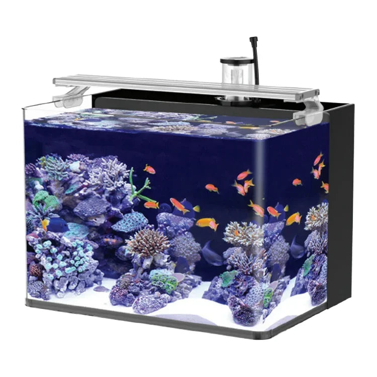 Table Curvedcurved Saltwater Marine Fish Tank Aquarium