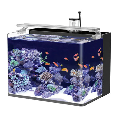 Table Curvedcurved Saltwater Marine Fish Tank Aquarium