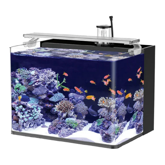 Table Curvedcurved Saltwater Marine Fish Tank Aquarium