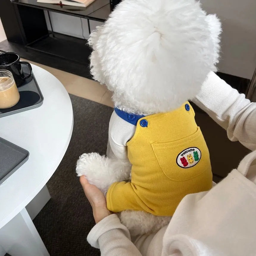 Dog Jumpsuit Summer Puppy Clothes 2024 Cute Pet Rompers Color Block Casual Dog Pants Bichon Pug Chihuahua Suspenders Dog Coat