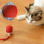 New Smart Cat Dog Toys Automatic Rolling Ball Fake Tail Rechargeable Electric Cat Bite Resistant Interactive Toy Pet Products