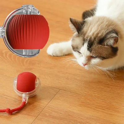 New Smart Cat Dog Toys Automatic Rolling Ball Fake Tail Rechargeable Electric Cat Bite Resistant Interactive Toy Pet Products