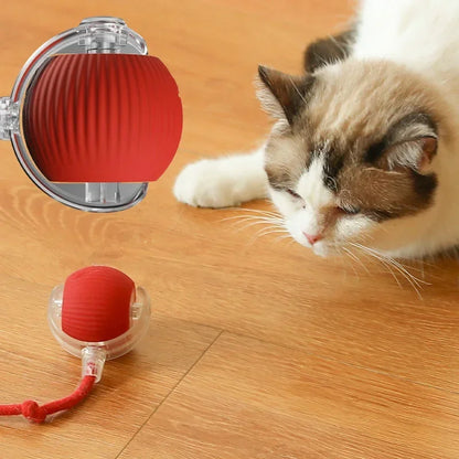 New Smart Cat Dog Toys Automatic Rolling Ball Fake Tail Rechargeable Electric Cat Bite Resistant Interactive Toy Pet Products