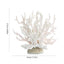 Aquarium Coral Simulation Fish Tank Plants Landscape Decoration Multiple Colour Aquarium Decor Aquariums Freshwater Accessories