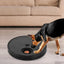 Pet Nail Scratcher Cat Nails Scratch Pad For Dog Treat Effective Dog Nail File Toy Feeder Nonirritating Dog Paws Scratch Board