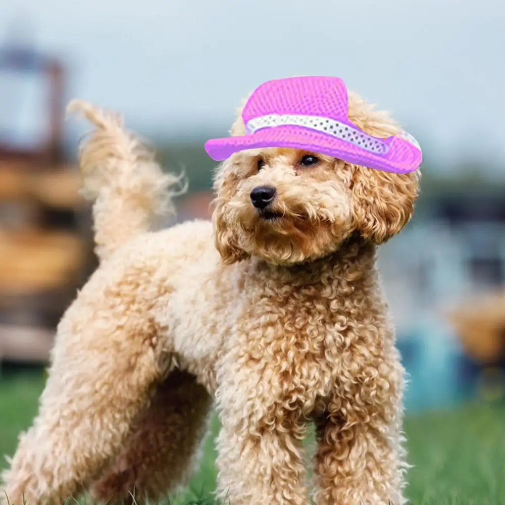 Breathable Dogs Sun Hats Round Brim Dog Visor Hat Outdoor Breathable Sun Protection With Ear Holes Mesh Sun With Adjustable Chin