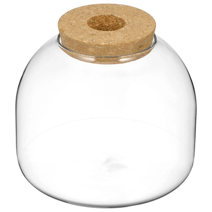 Cork Glass Bottle Plant Terrarium Large Micro Landscape Flower Pots Ecosystem Small Container Bracket Cookie Jar Office
