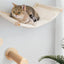 Wall Mounted Cat Shelves Wood Cat Lookout Climbing Shelf Kitten Wall Climbing Tree Furniture Four Step Stair Indoor Cat Hammock