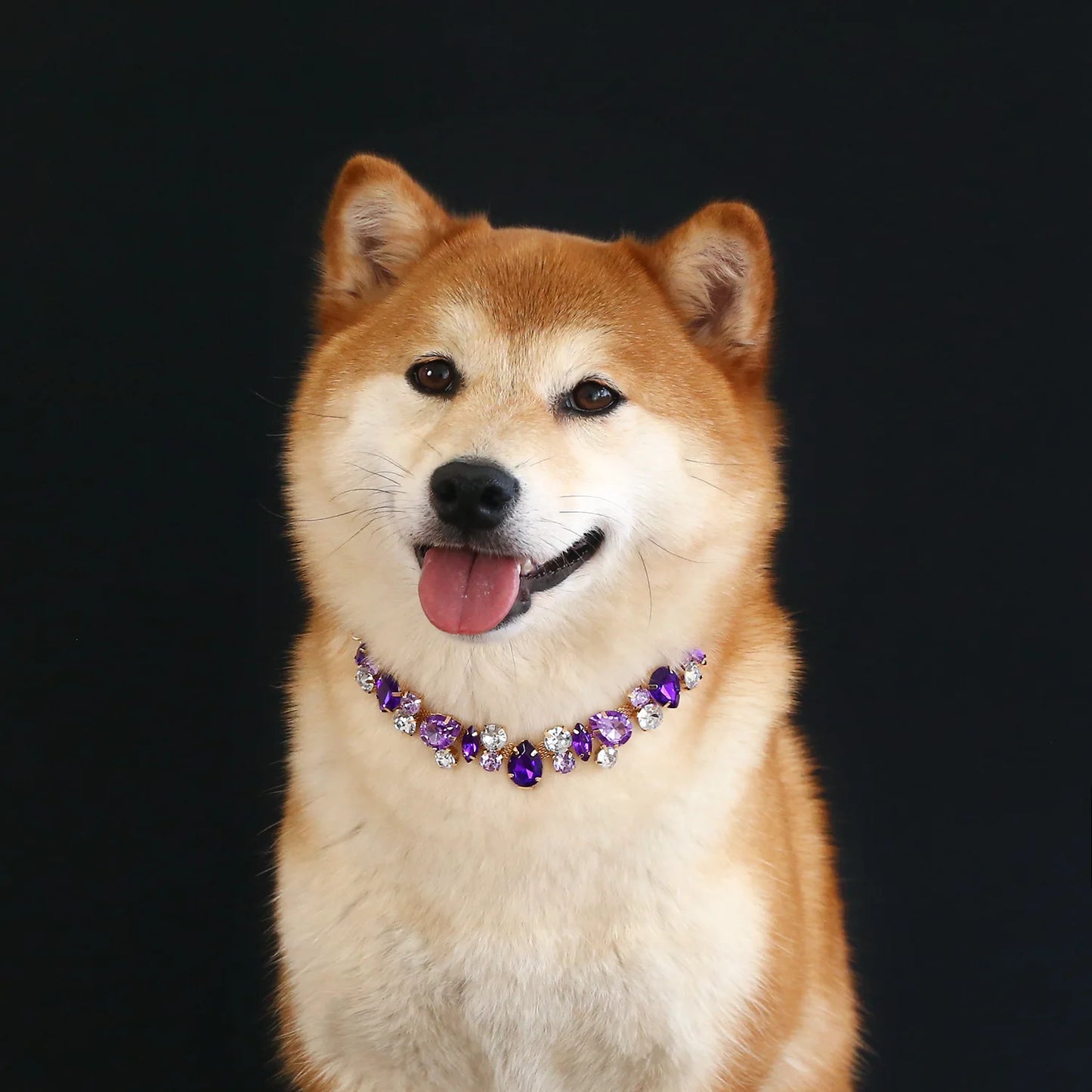 Adjustable Dog Necklace Jewelry for Small Medium Dogs Puppy, Luxury Blingbling Diamond Collar Wedding Prom Pet Accessories