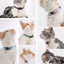 Cartoon Pet Cat Neck Collar for Small Dogs 19-28cm Ring Bell Anti Lost Adjustable Chihuahua Neck Wear Polyester Pet Accessories