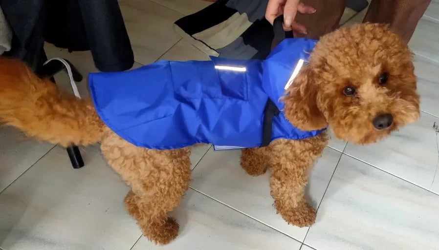 Big dog raincoat reflective waterproof windproof hooded raincoat large dog clothing outdoor raincoat  dog clothing jacket