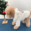 Super Warm Pet Winter Clothes Cosplay Costume Bear Shaped Outfits for Small Medium Puppy New Year Double Fleece Cat Clothing