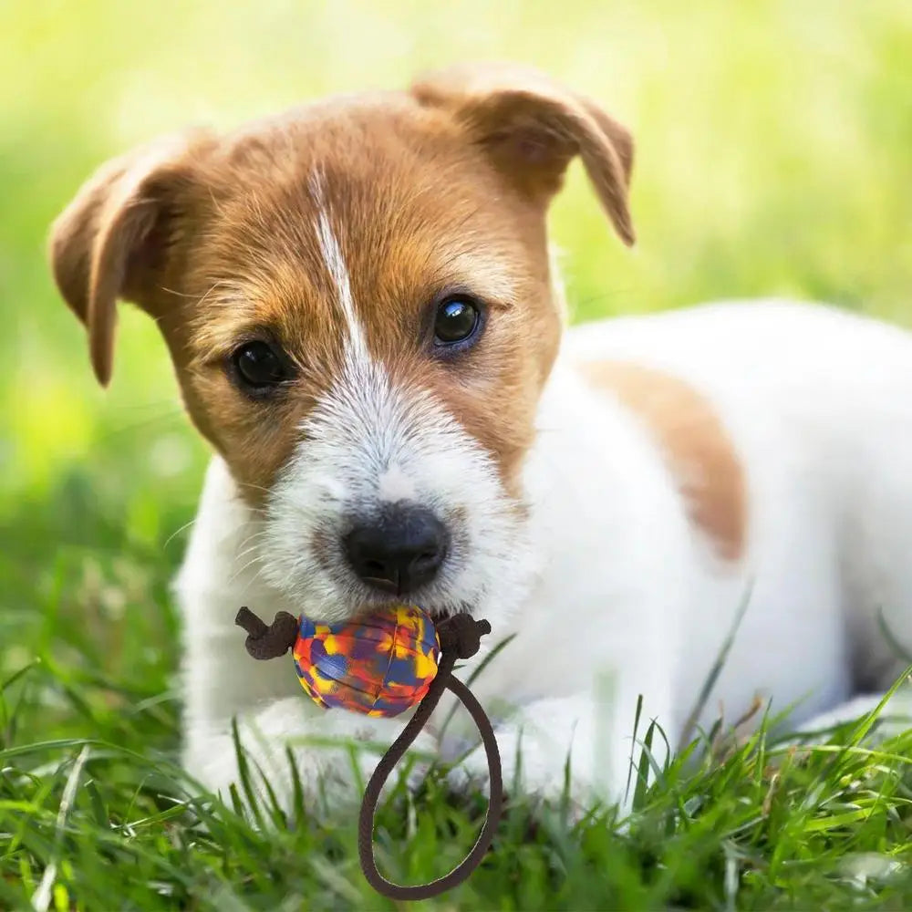 Dog Training Ball On Rope Pet Playing Balls Toys Outdoor Playing Keep Teeth Healthy And Boost Physical And Mental Health For Dog