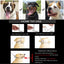 Durable Silver Dog Chain Collar Stainless Steel Choke Cuban Link Necklace Pet Training Collar for Small Medium Large Dogs Pitbul