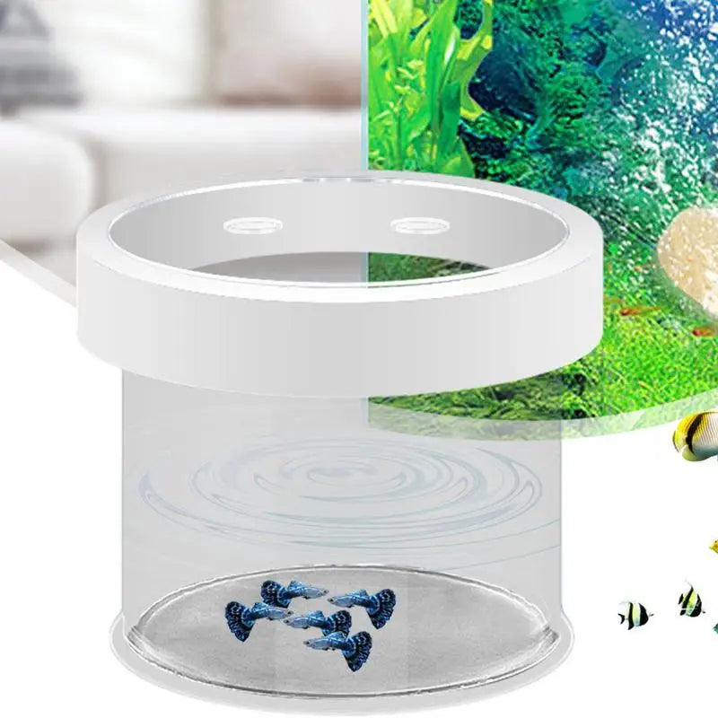 Floating Hatching Box Fish Tank Hatching Incubator Acrylic Aquarium Breeder Feeder Fine Mesh Aquarium Breeder Box Fish Breeding