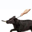 Traction Rope For Dog Long Dog Rope Recall Training Leads Dog Tie Out Rope With Padded Handle Easy Control For Large Medium Dog