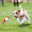 Plush Squeaky Dog Toys Interactive Chewing Squeaky Toy for Puppy Squeaky Dog Chew Toy Disc Shape Plush Dog Toys for Puppies