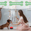 Dog Toys Funny Dog Recordable Pet Toys Travel Talking Pet Starters Pet Speaking Buttons Portable Cute Pet Supplies