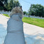 Pet Clothes  Pets Acessorios  Dog Clothing  Dog Costume Parent-child Wear Spring and Autumn One Color Eight Sizes