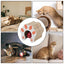 Cardboard Cat Toy Foldable Cat Scratcher Cardboard With Ball Kitty Scratching Post Cat Ball Track Accordion Toys cat toy