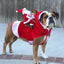 Creative Christmas Pet Clothes Old Man Riding Costume Christmas Atmosphere Funny Supplies Cats And Dogs Pet Winter Clothes