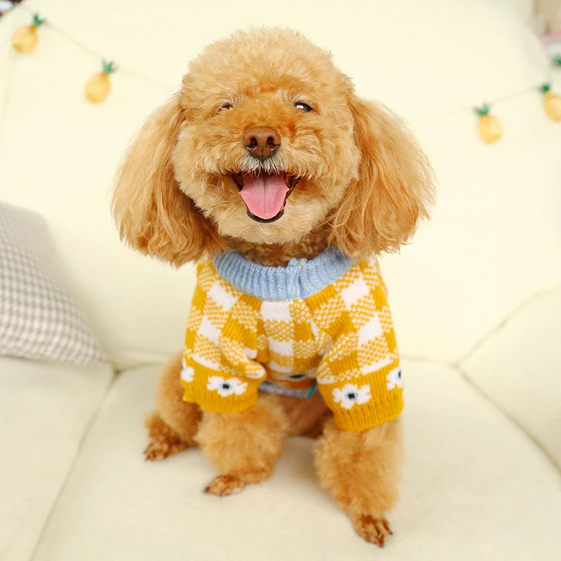 Luxury Designer Warm Winter Clothes for Pets Wool Knitting Floral New Year York Dog Sweaters Sphinx Cat Christmas Puppy Clothing