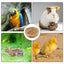 Breeding Nest For Birds Hand Woven Flat Base Straw Bird Nest Hatch House Bird Shelter Bird Cage Accessories Bird Hut