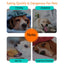 Plastic Dog Cat Slow Food Bowls Non-slip Food Storage Container Pet Feeding Dog Food Bowl Water Bottle For Pets Bowl Feeder Dish