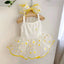 Luxury Summer Dog Dress Princess Style Chihuahua Bichon Korean Striped Skirt Lace Puppy Costume 2025 New Summer Fashion for Dogs