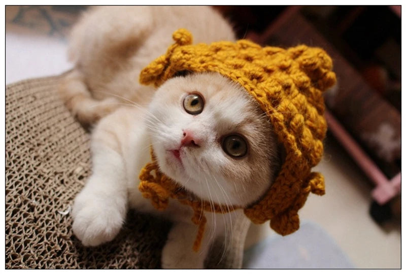 Winter Cosplay Buddha Pet Dog Hat Ginger Ear Protective Head Wear for Small Puppy New Year Lace Up Yorkshire Cat Accessories