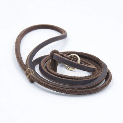 Soft Slim Genuine Leather Dog Slip Lead Control Leash for Small Dogs No Pull Pet Puppy Training Choke Collar P Chain Slip Leash