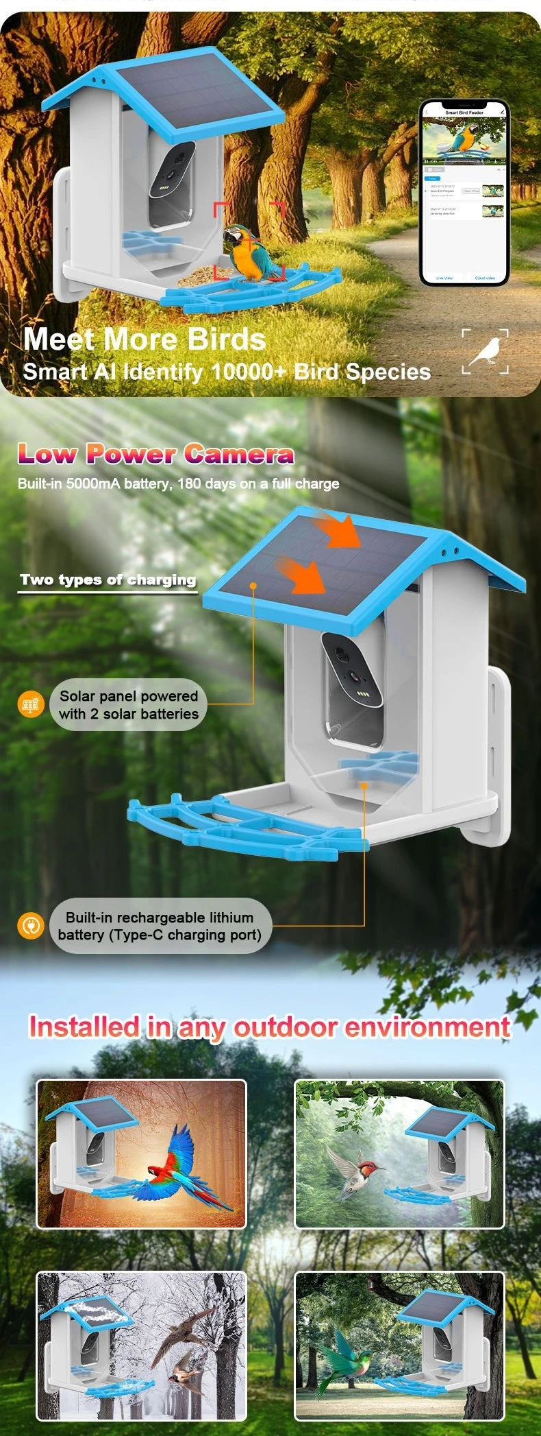 Bird Smart Feeder with Camera 1080P Solar Low Power Night Vision IP66 Waterproof 4G or WIFI Connect Real Bird Species Feeder