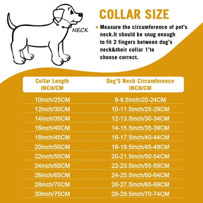 Strong Metal Dog Chain Collars, Stainless Steel Pet Training Choke Collar for Large Dogs, Pitbull, Bulldog, Silver, Gold, Show C